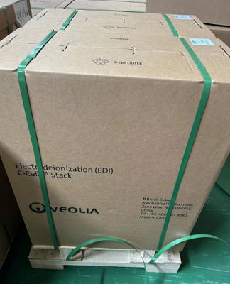 Fluxo 5,0 M3/H Veolia Suez EDI E-Cell-3X Suez para fornecer água ultrapura