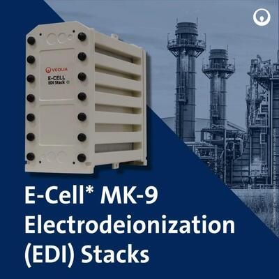 E-Cell MK-9 EDI Stack para Produção de Água de Alta Pureza com Faixa de Fluxo de 18,5-44,0 GPM e Sem Regeneração Química em Aço Inoxidável