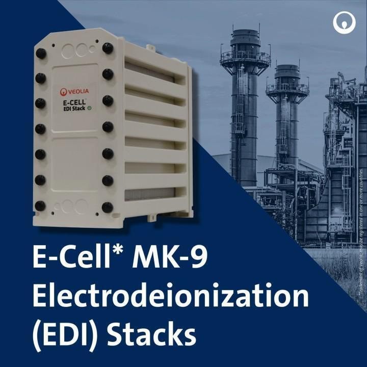 E-Cell MK-9 EDI Stack para Produção de Água de Alta Pureza com Faixa de Fluxo de 18,5-44,0 GPM e Sem Regeneração Química em Aço Inoxidável