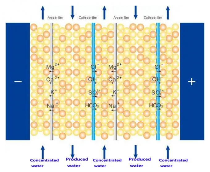 Purificador 600 RO Filtração EDI Água Ultrapura Sistema de Instalação Industrial de Osmose Reversa 0