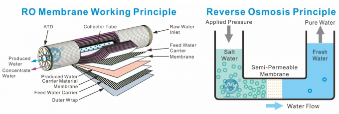 5TPH 7.4kW-380-415V 3xSS304 Tanques Água Salgada 0
